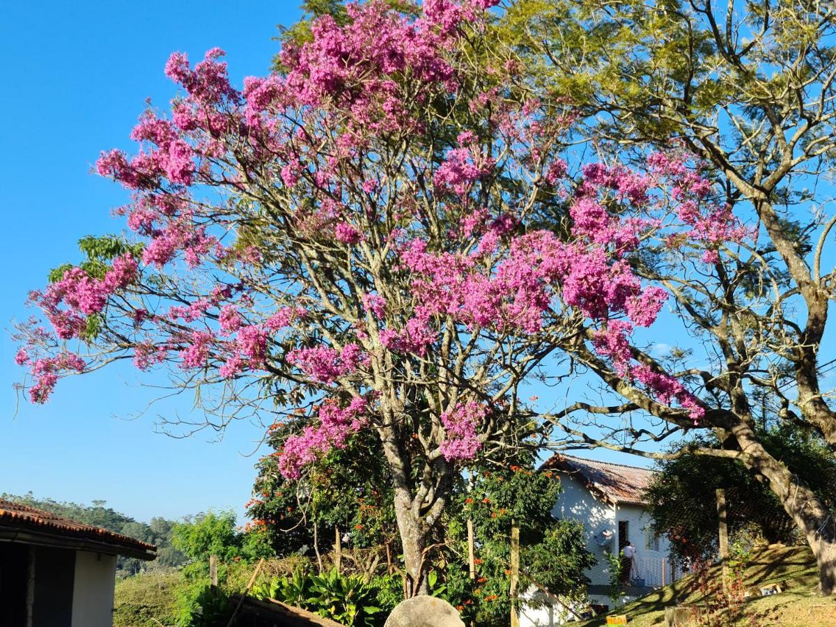 Pousada Nossa Senhora Penedo  Esterno foto Flowering tree