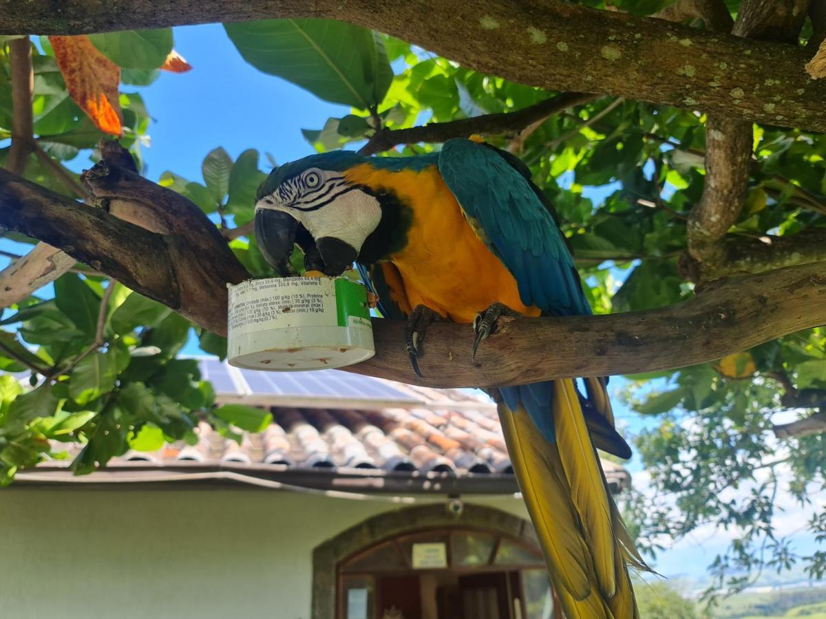 Pousada Nossa Senhora Penedo  Esterno foto Blue and yellow macaw